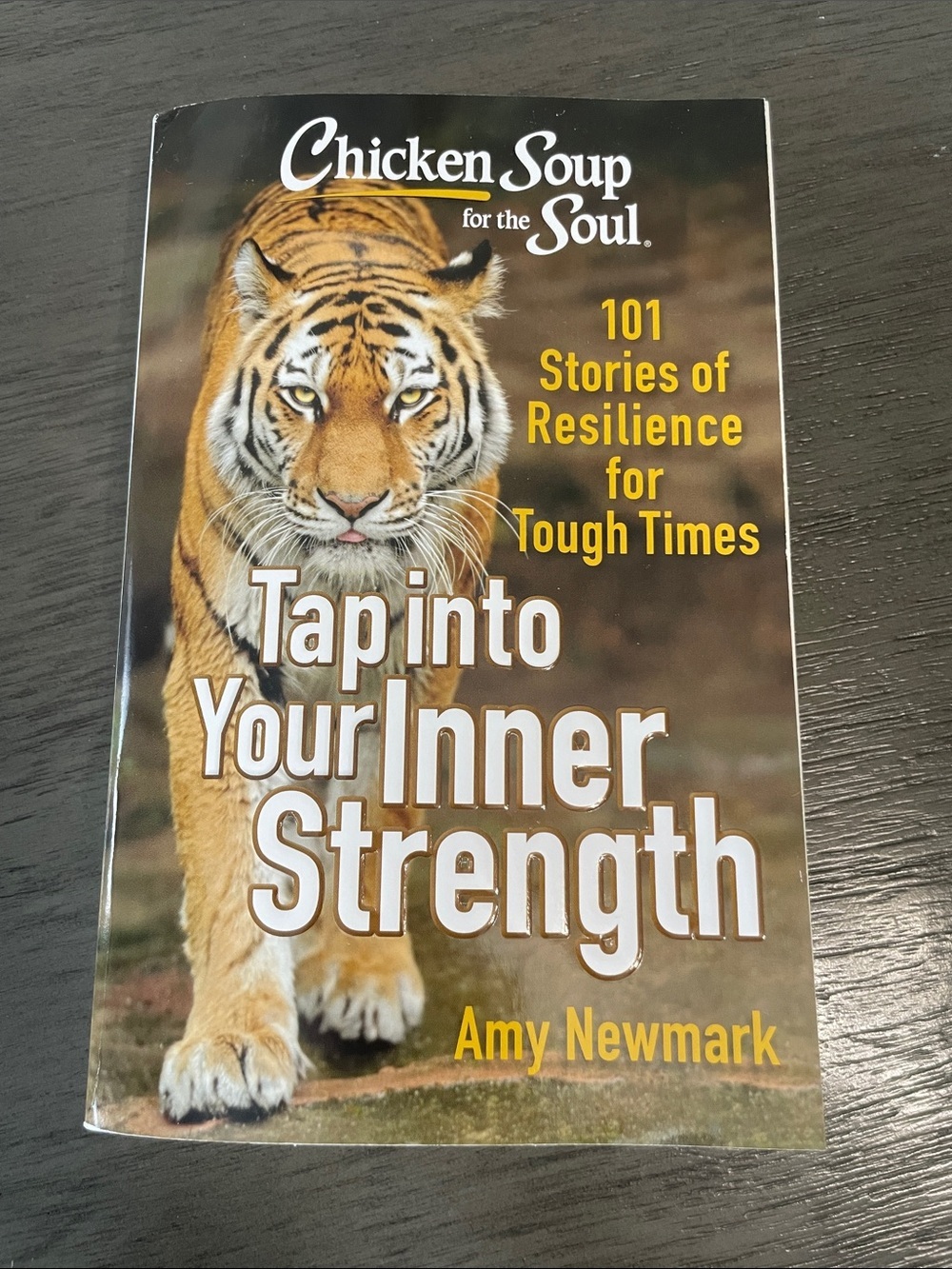 Chicken Soup for the Soul paperback book - 101 Stories of Resilience